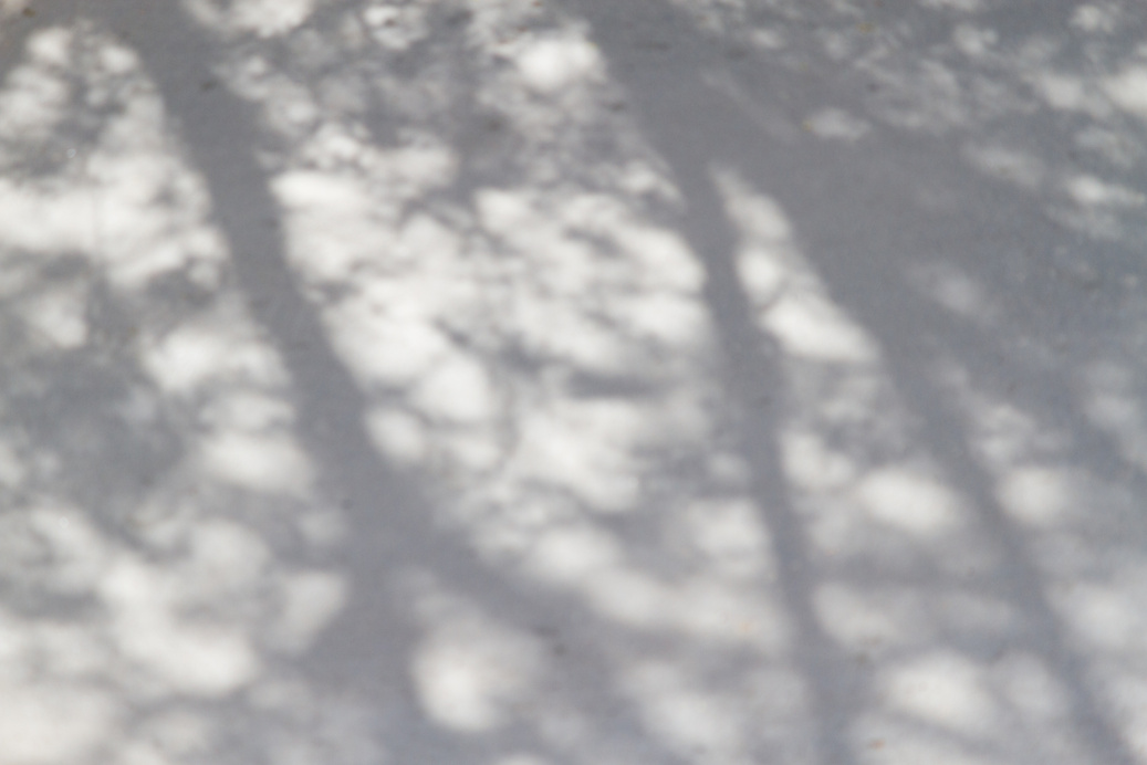 Abstract Tree Shadows